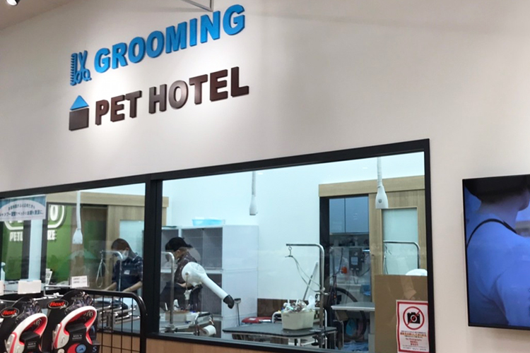 ペテモ京都桂川店 基本情報 ペテモ Petemo イオンペット Aeon Pet ペテモ京都桂川店 基本情報 ペテモ Petemo イオンペット Aeon Pet