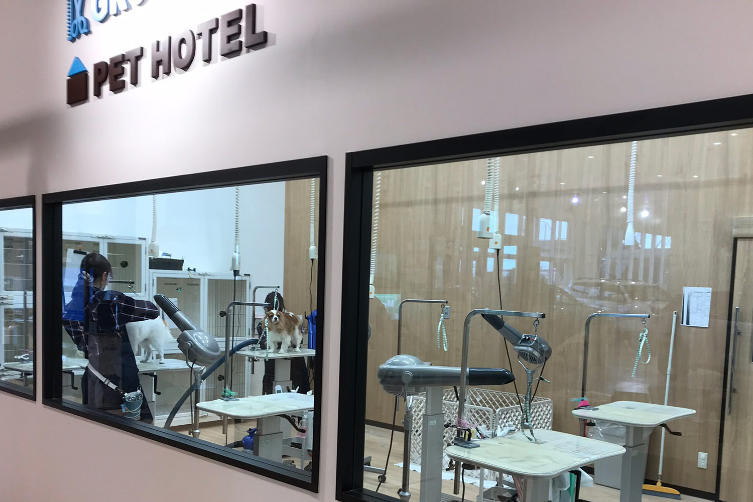 ペテモ越谷レイクタウンmori店 基本情報 ペテモ Petemo イオンペット Aeon Pet