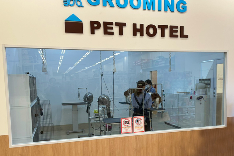 ペテモ千葉ニュータウン店 基本情報 ペテモ Petemo イオンペット Aeon Pet