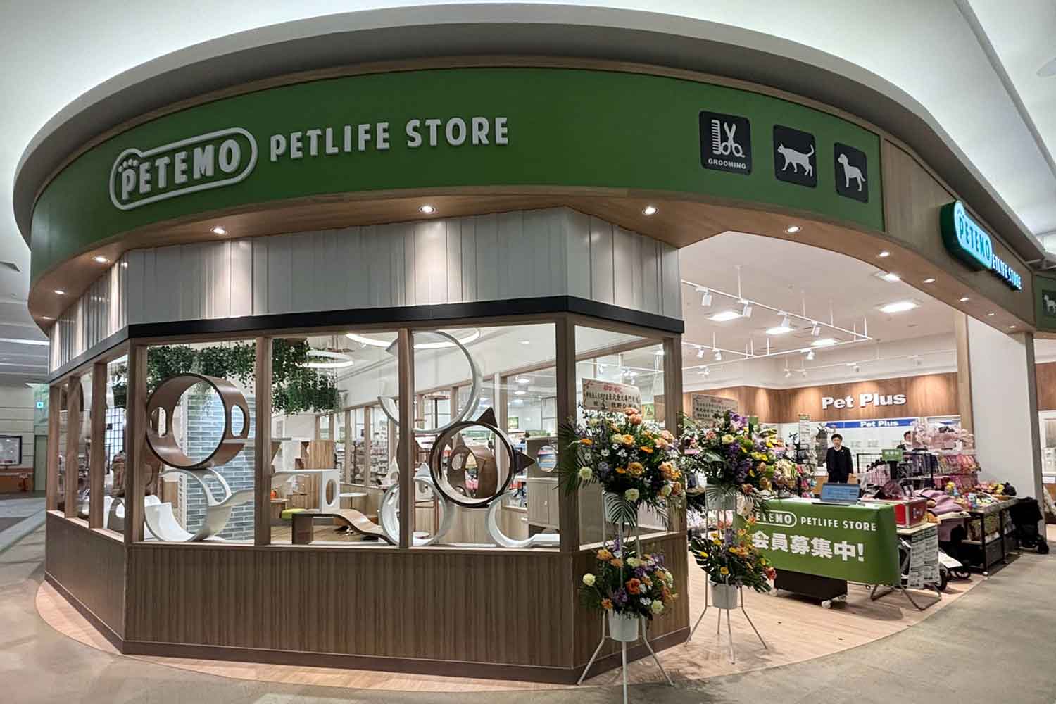 活動歴および当時の関連ビジュアル記録
