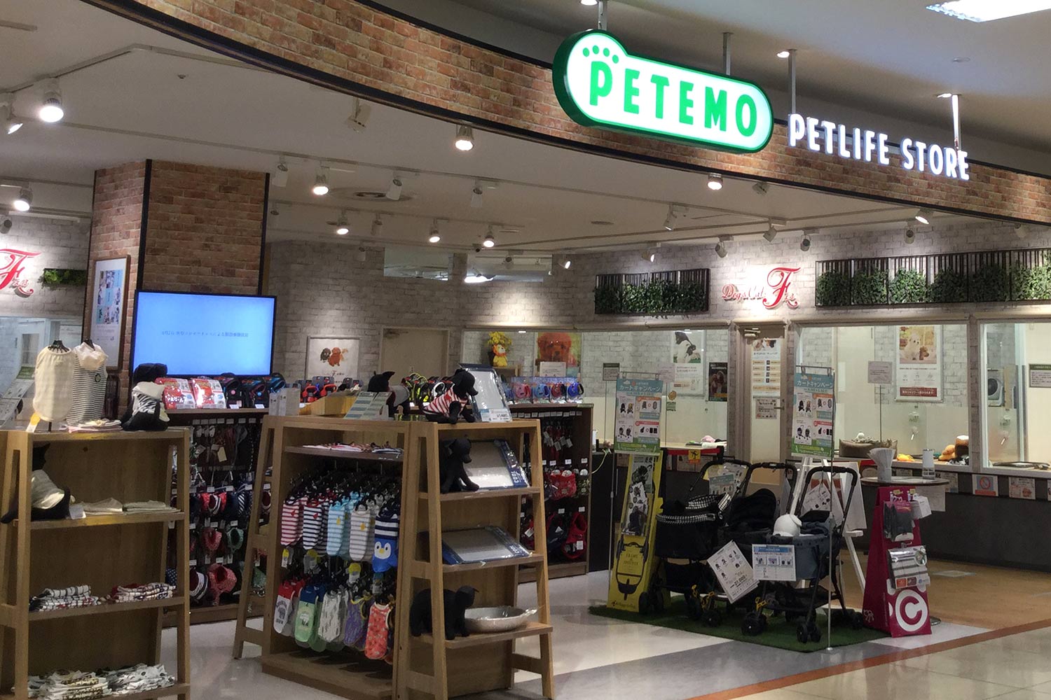 ペテモ豊橋南店 基本情報 ペテモ Petemo イオンペット Aeon Pet