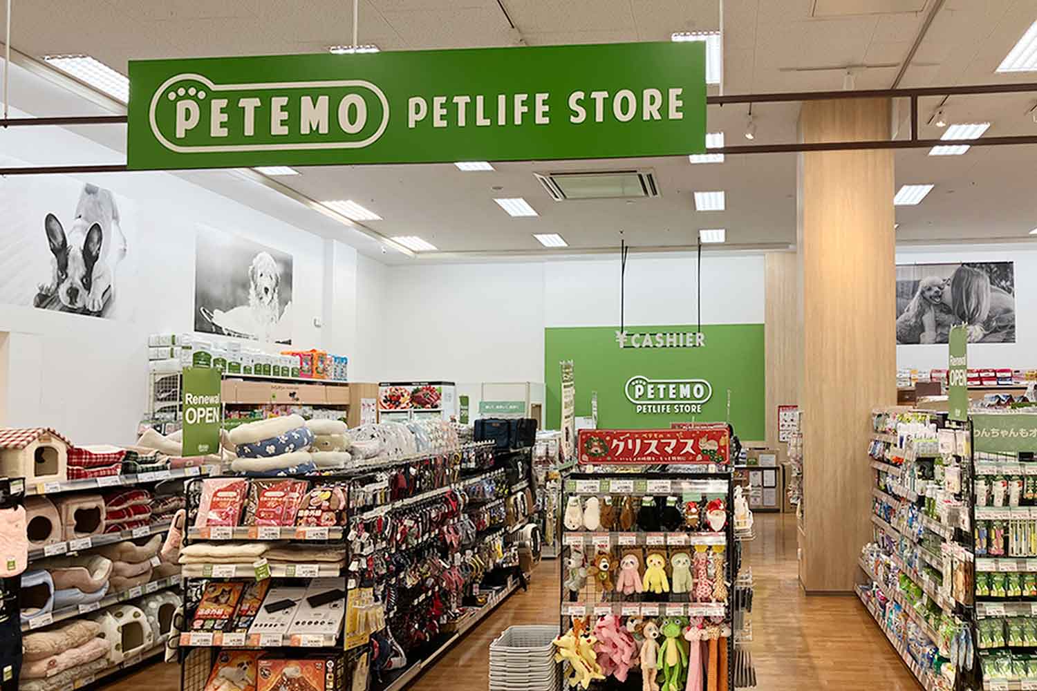 ペテモ津田沼店 基本情報 ペテモ Petemo イオンペット Aeon Pet