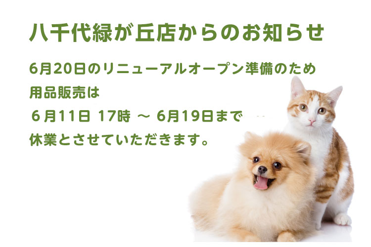 ペテモ八千代緑が丘店 | 基本情報 | ペテモ [PETEMO] | イオンペット