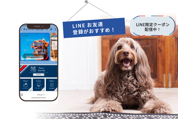 全店ネット予約、LINE、インスタ完備