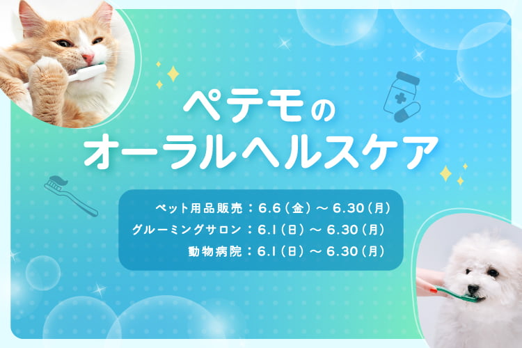 ペテモのオーラルヘルスケア2025