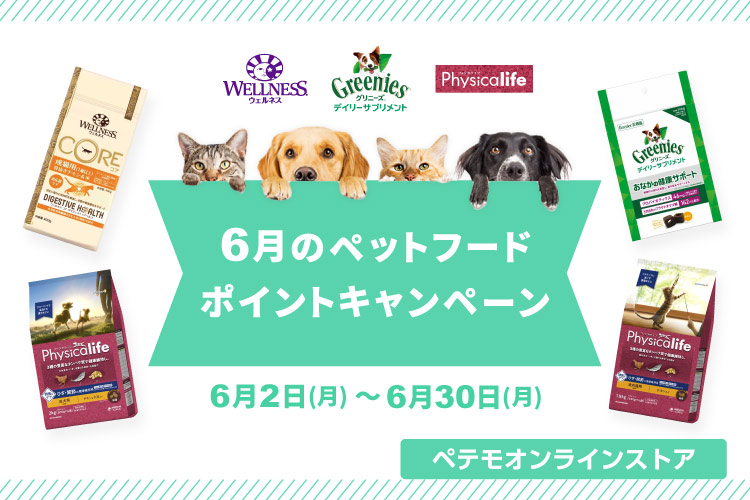 6月のフードポイントキャンペーン