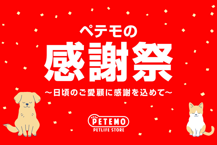 ペテモの感謝祭