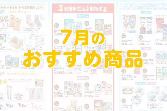 7月のおすすめ商品