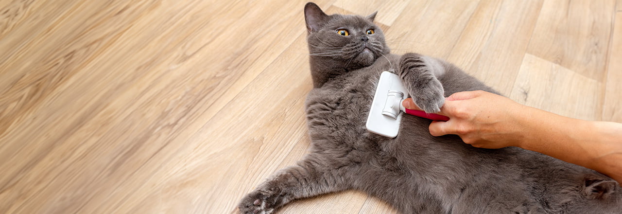 TOOVREN 猫用ブラシ リリースボタン付き 猫ブラシ 室内猫用 セルフ 