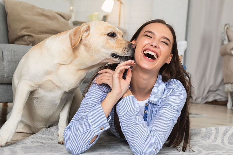 放っておくと危険 犬の毛玉のほぐし方と予防法 ペテモ Petemo イオンペット Aeon Pet