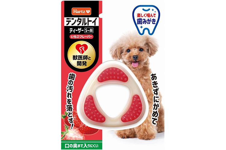 たったこれだけで直る！犬が飼い主を噛む理由と噛み癖を直す