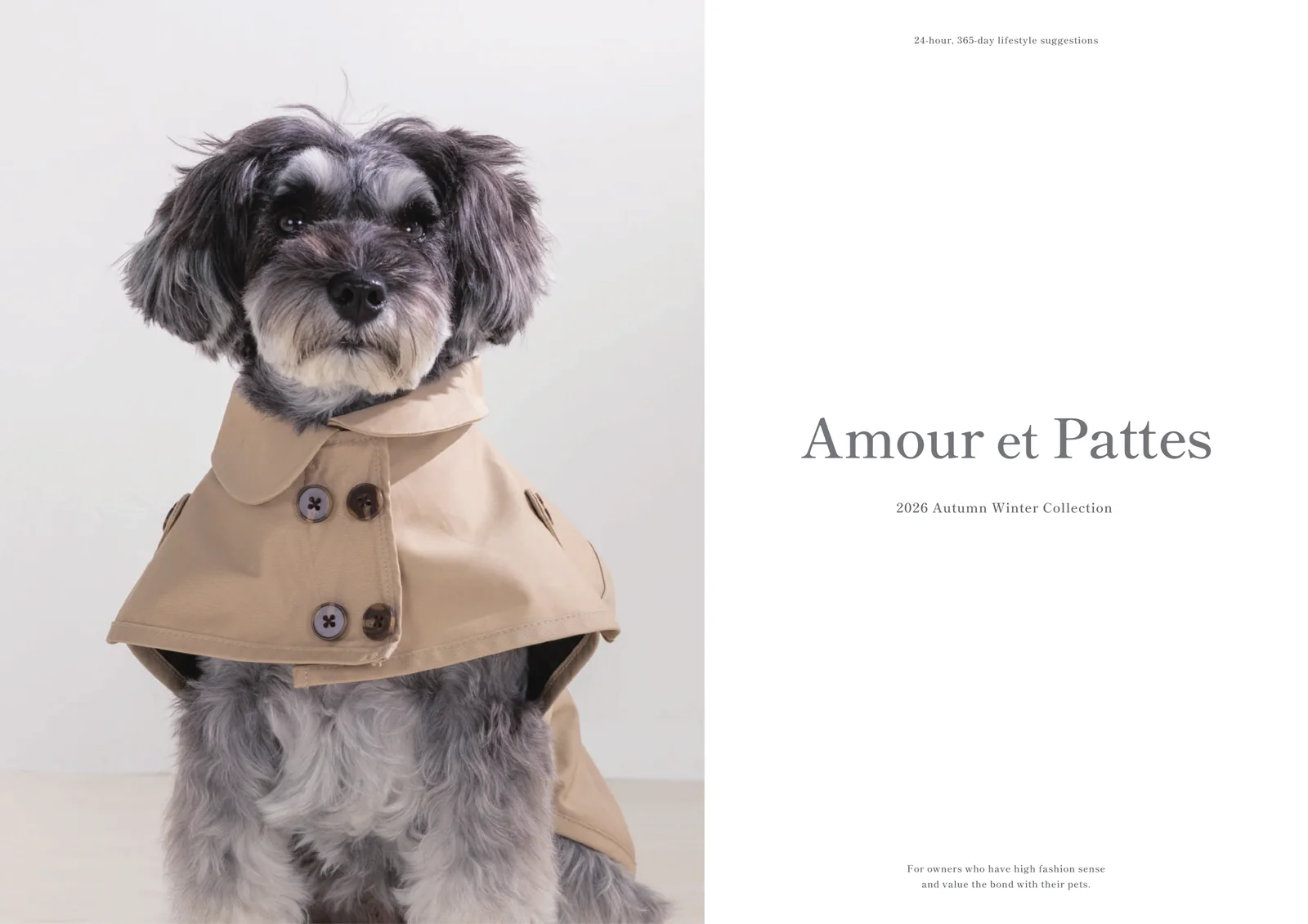 Amour et Pattes カタログ 1ページ