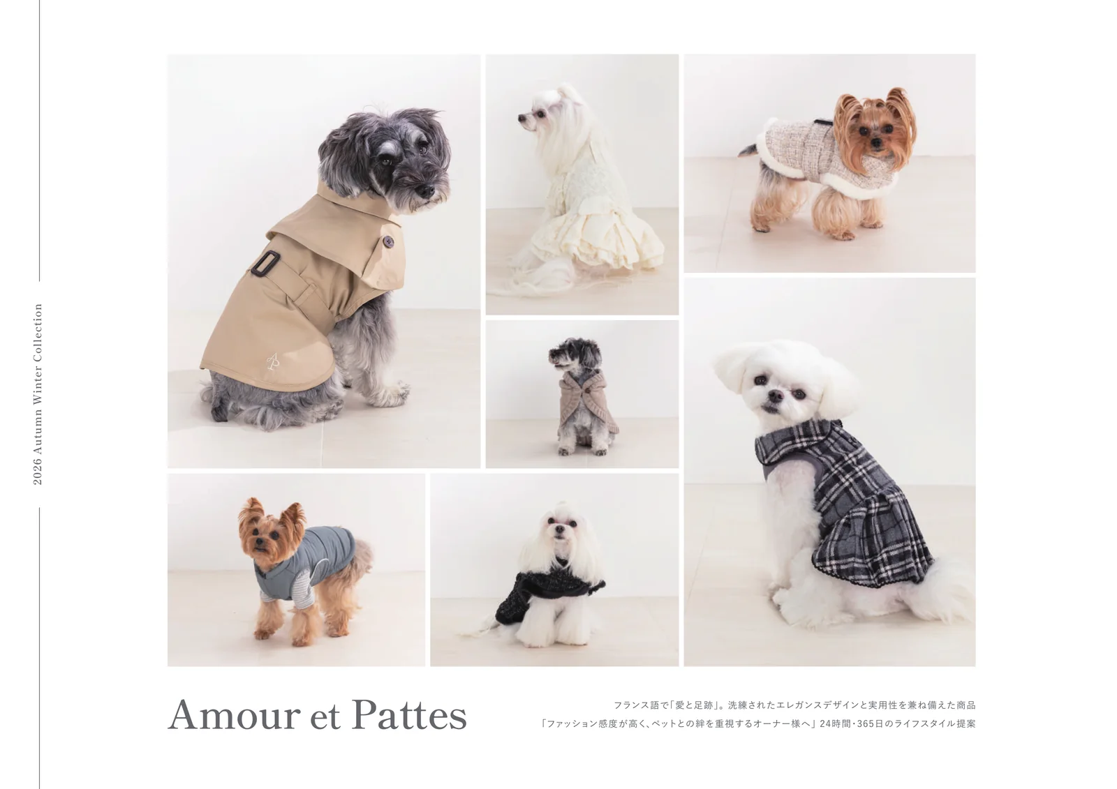 Amour et Pattes カタログ 2ページ