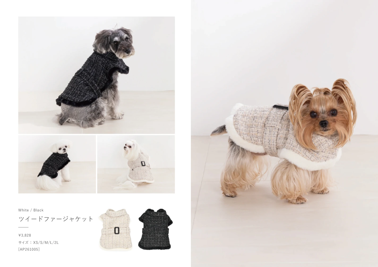 Amour et Pattes カタログ 5ページ