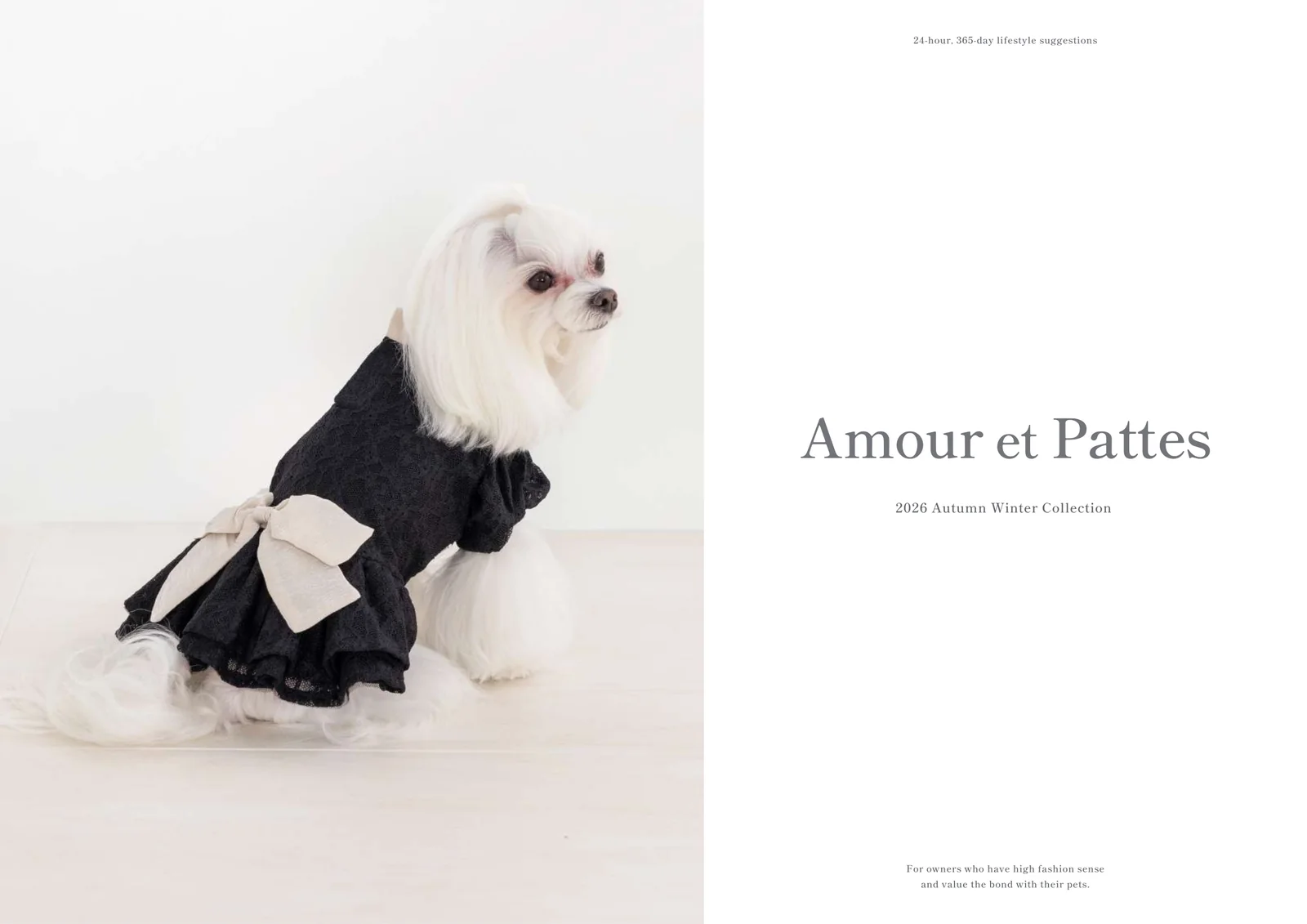 Amour et Pattes カタログ 11ページ
