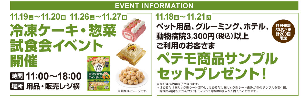 dainichi_renewal_web02