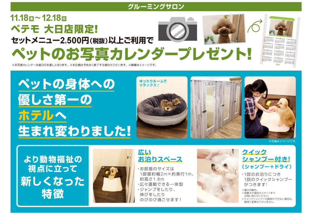 dainichi_renewal_web03