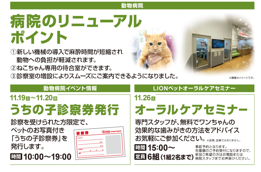 dainichi_renewal_web04
