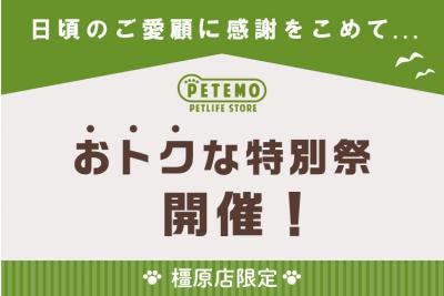 kashihara_info