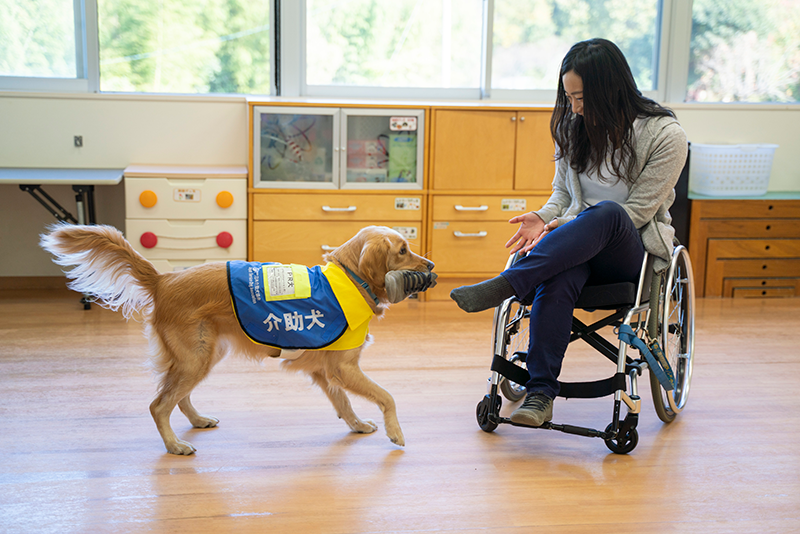 日本介助犬協会 日本補助犬協会に寄付 ニュースリリース ニュースリリース イオンペット Aeon Pet