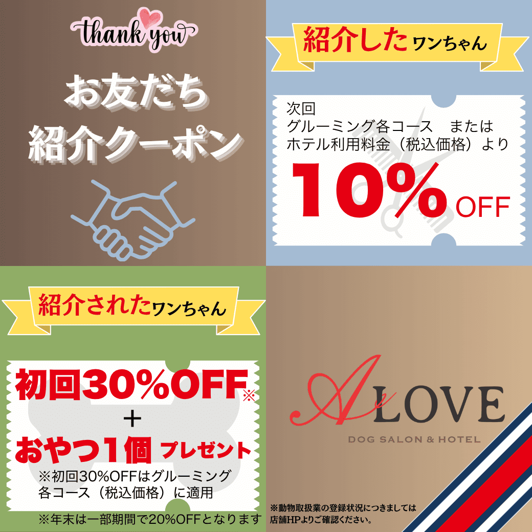 ご紹介クーポン サンプル