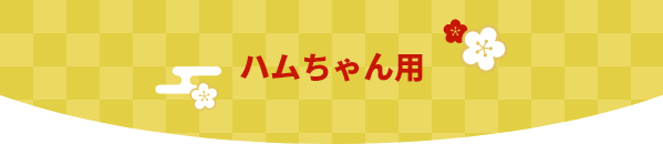 福袋 うさぎちゃん用