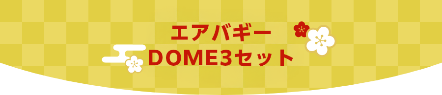 エアバギー DOME3 REGULAR