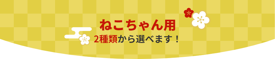 福袋 ねこちゃん用