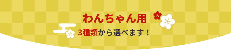 福袋 わんちゃん用