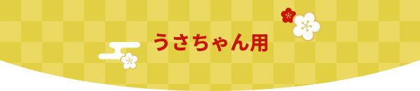 福袋 うさぎちゃん用