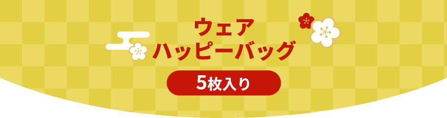 福袋 ウェア5枚入り