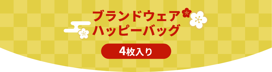 福袋 ブランドウェアハッピーバッグ