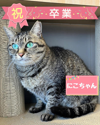 ❶にこ.jpg
