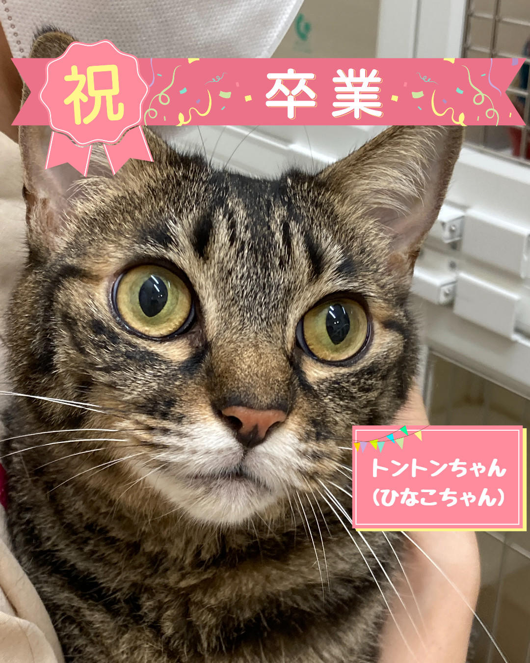 卒業 ひなこ (2026_8_25 11_24_54 1080x1350px).jpg