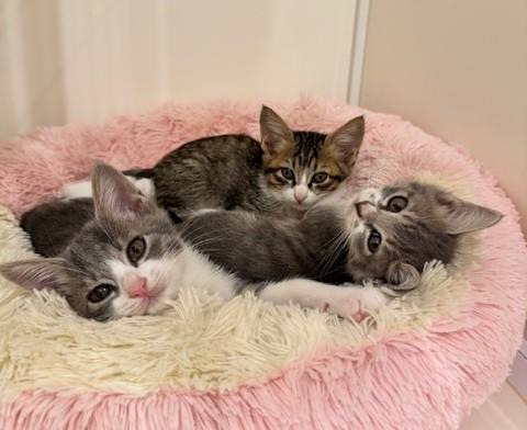 IMG_2896 - コピー.jpg