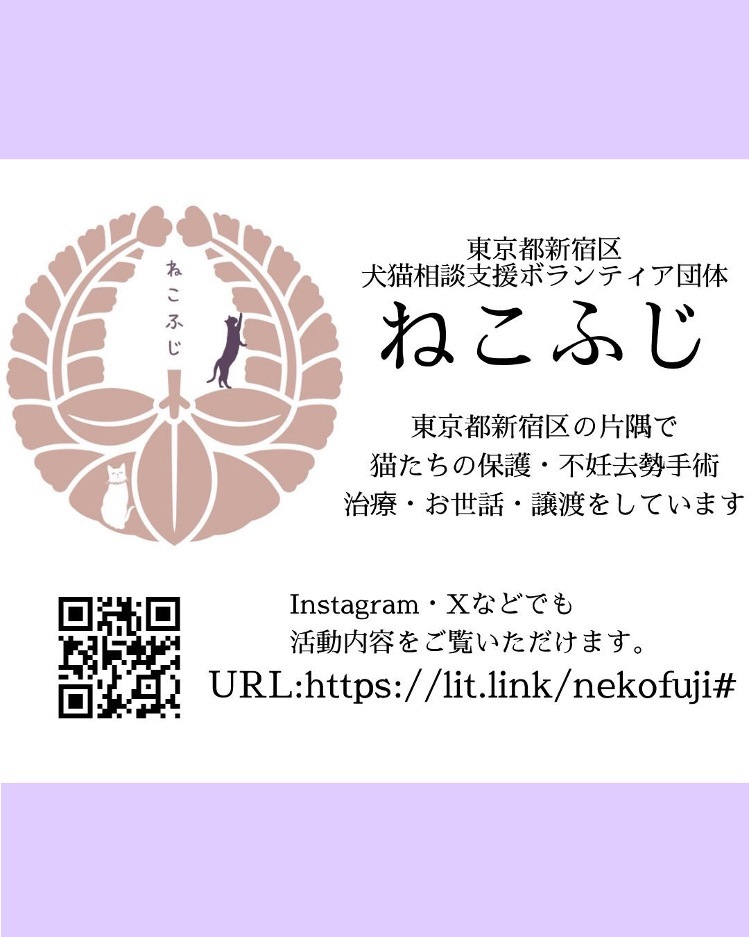ねこふじ (2025_3_11 14_33_37 1080x1350px).jpg