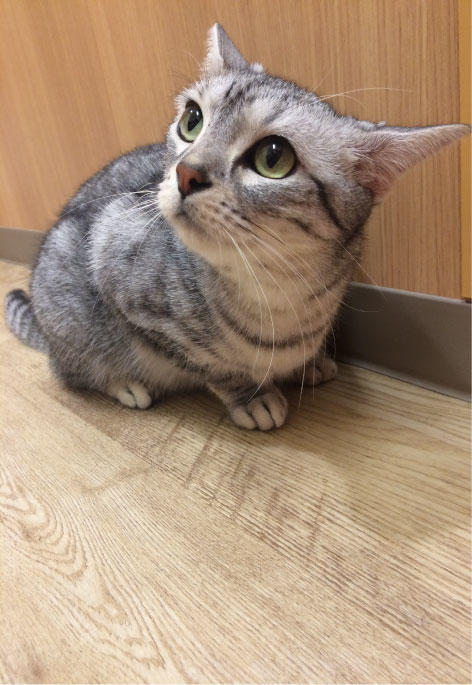 横須賀 ゆず