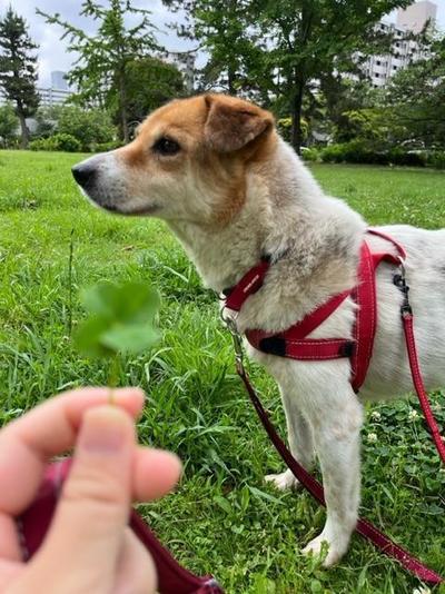 笶ｷimage0 (44) (1).jpeg