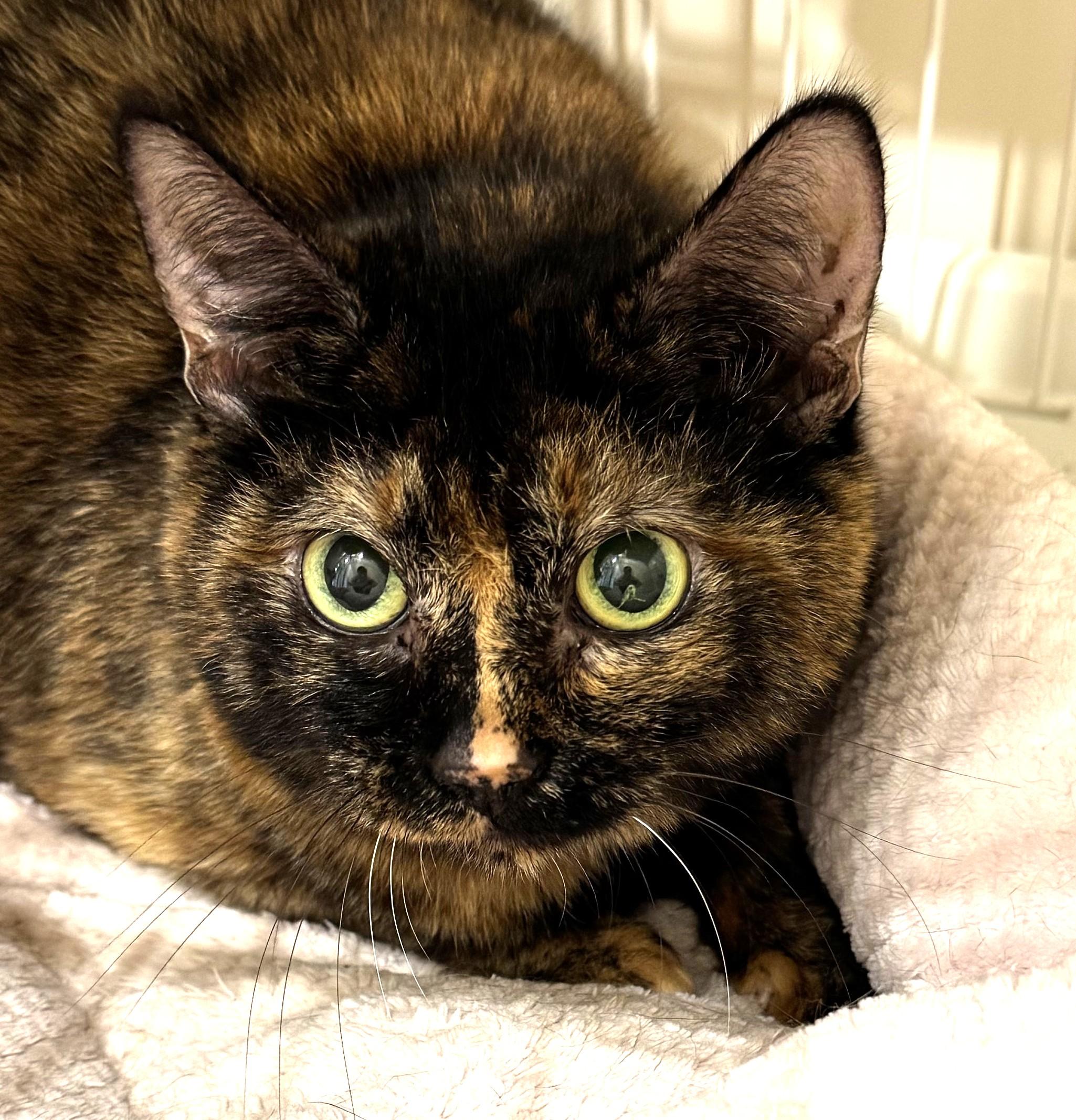 IMG_3266 - コピー.jpg