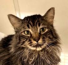 IMG_4183 - コピー.jpeg