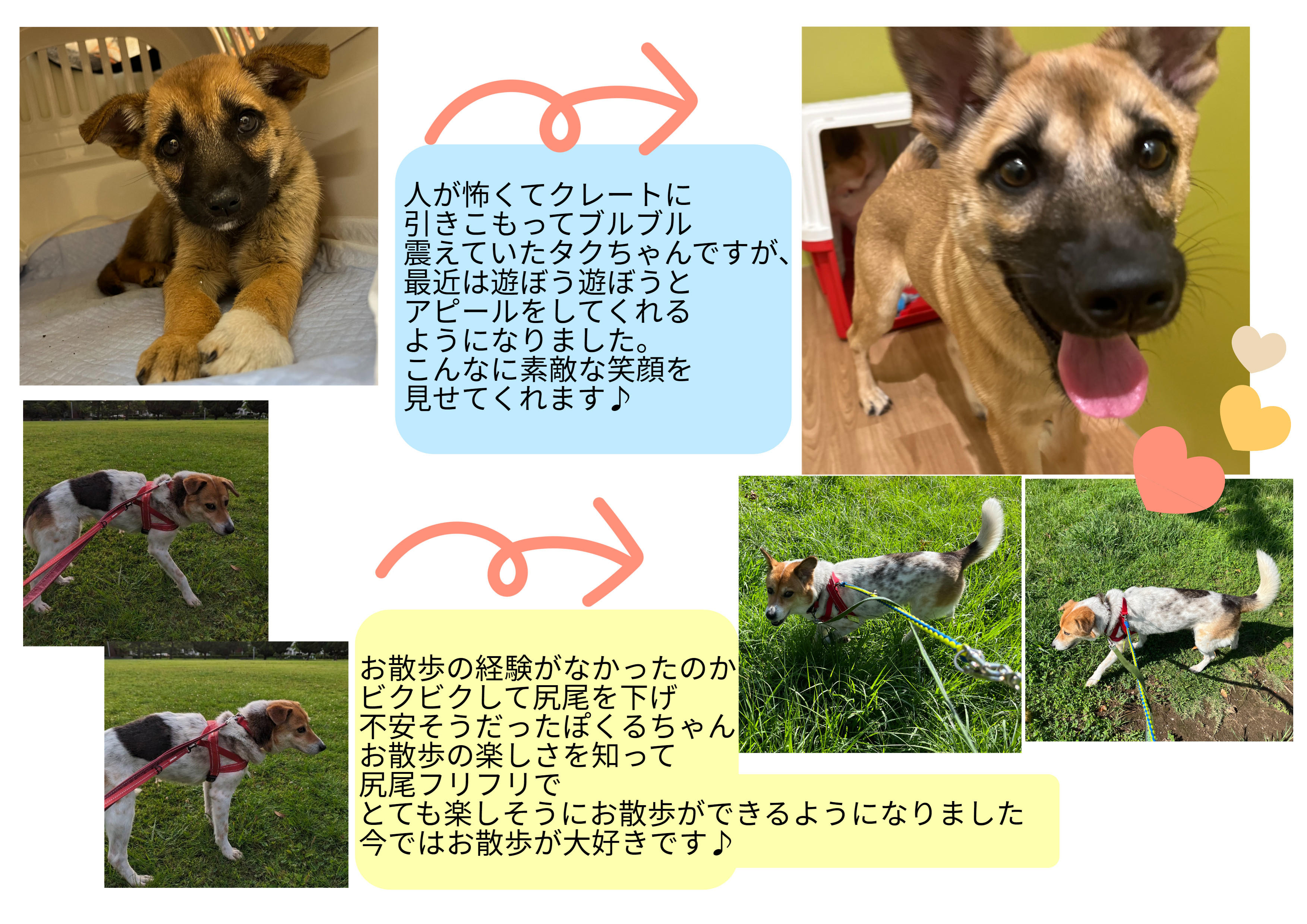 無題のPOP (2023_9_14 14_29_22 297x210mm 最高画質).jpg