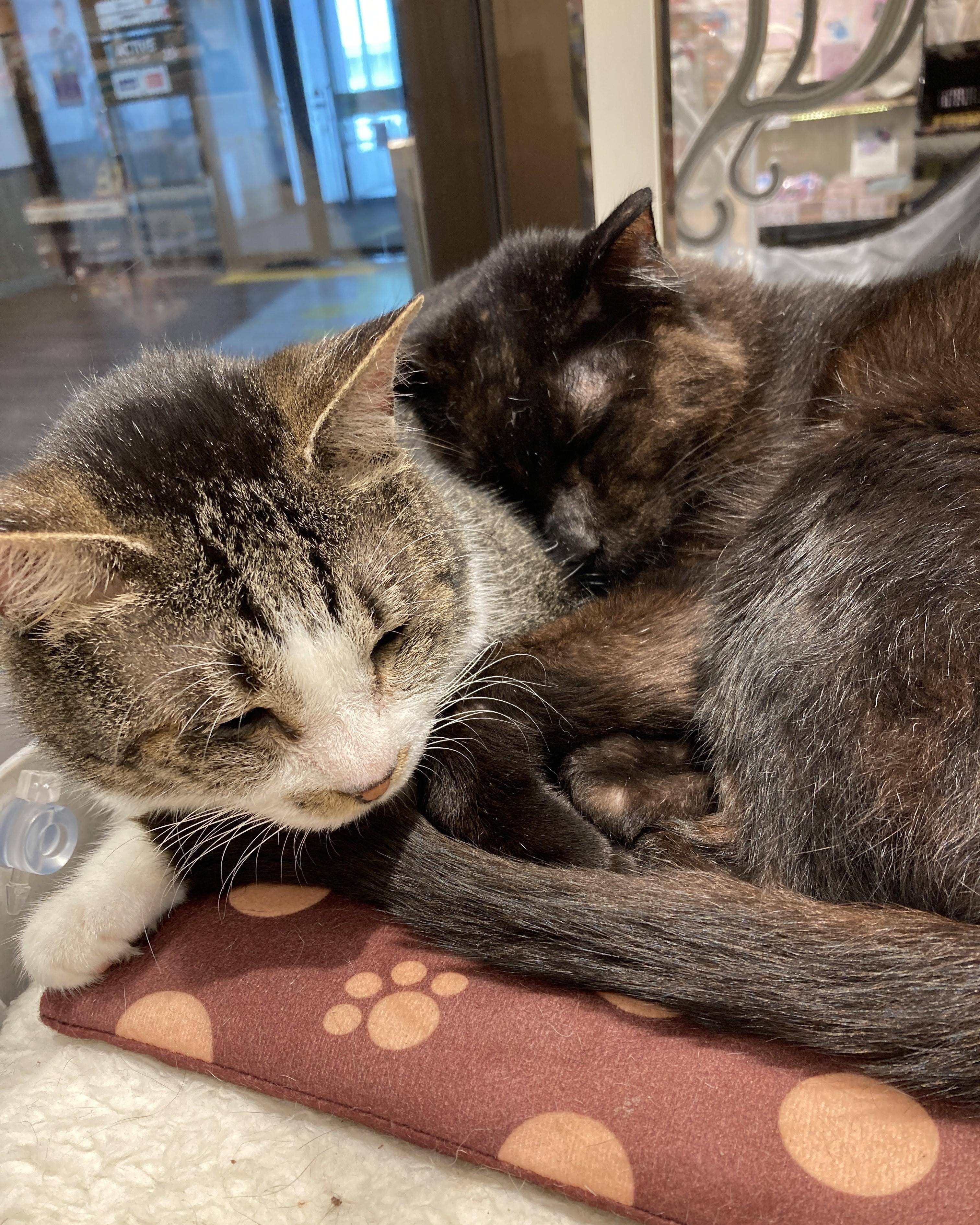 たみお３.jpeg