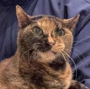 IMG_4706 - コピー.jpg