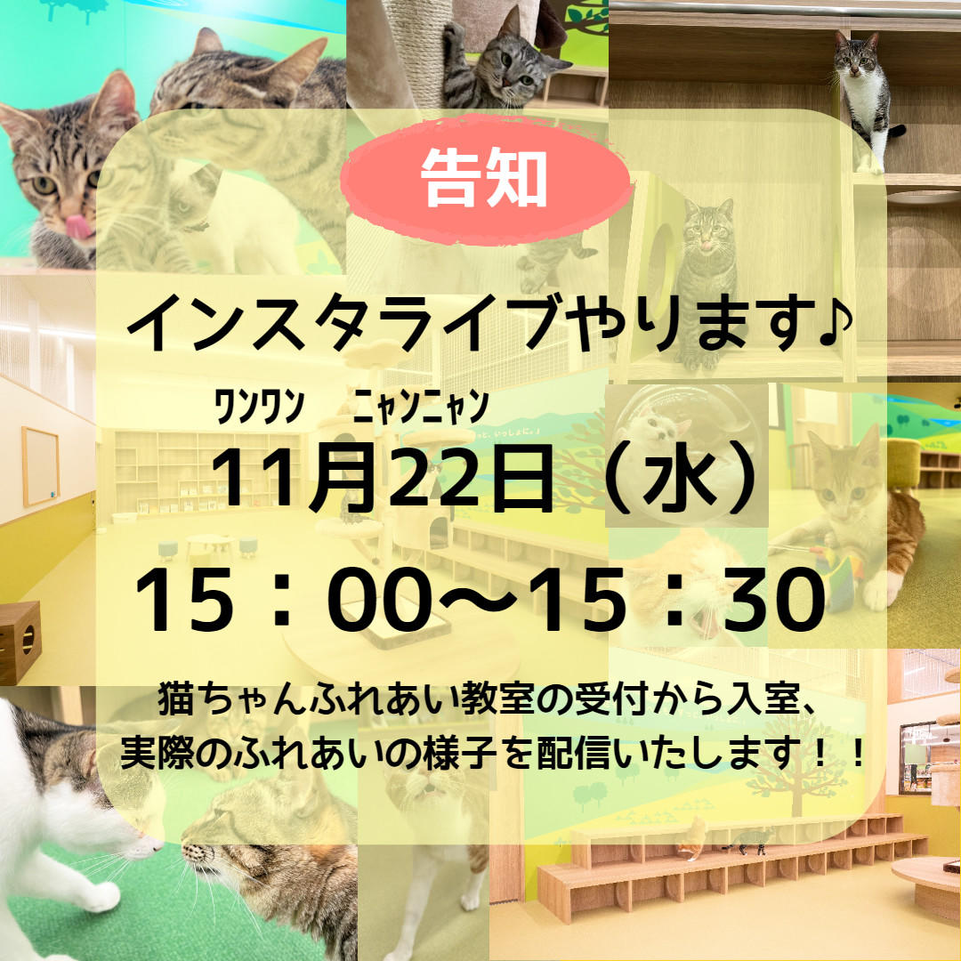 無題のPOP (2023_11_21 11_41_59 1080x1080px).jpg