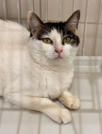 IMG_4498 - コピー.jpeg