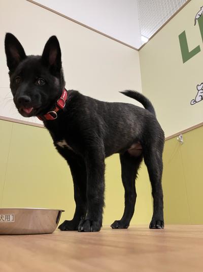 ❹Image_20260321_125557_164 (1).jpeg