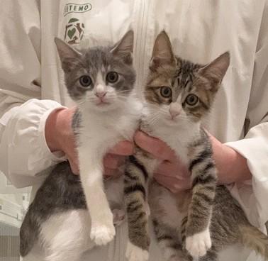 IMG_3454 - コピー.jpg