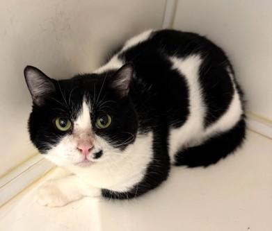 IMG_4055 - コピー.jpeg