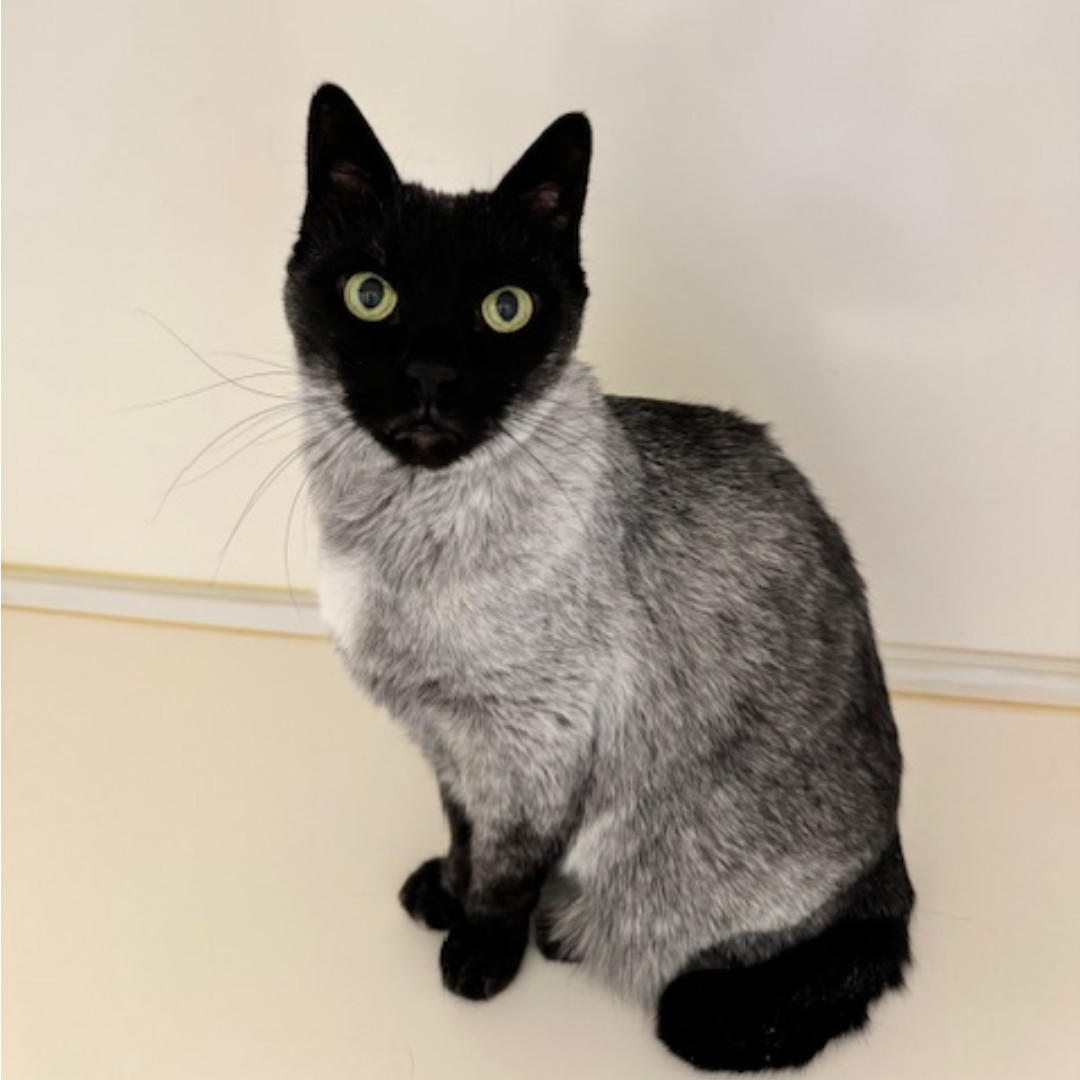 ジルバ_デビュー② (2026_2_20 17_21_01 1080x1080px).jpg