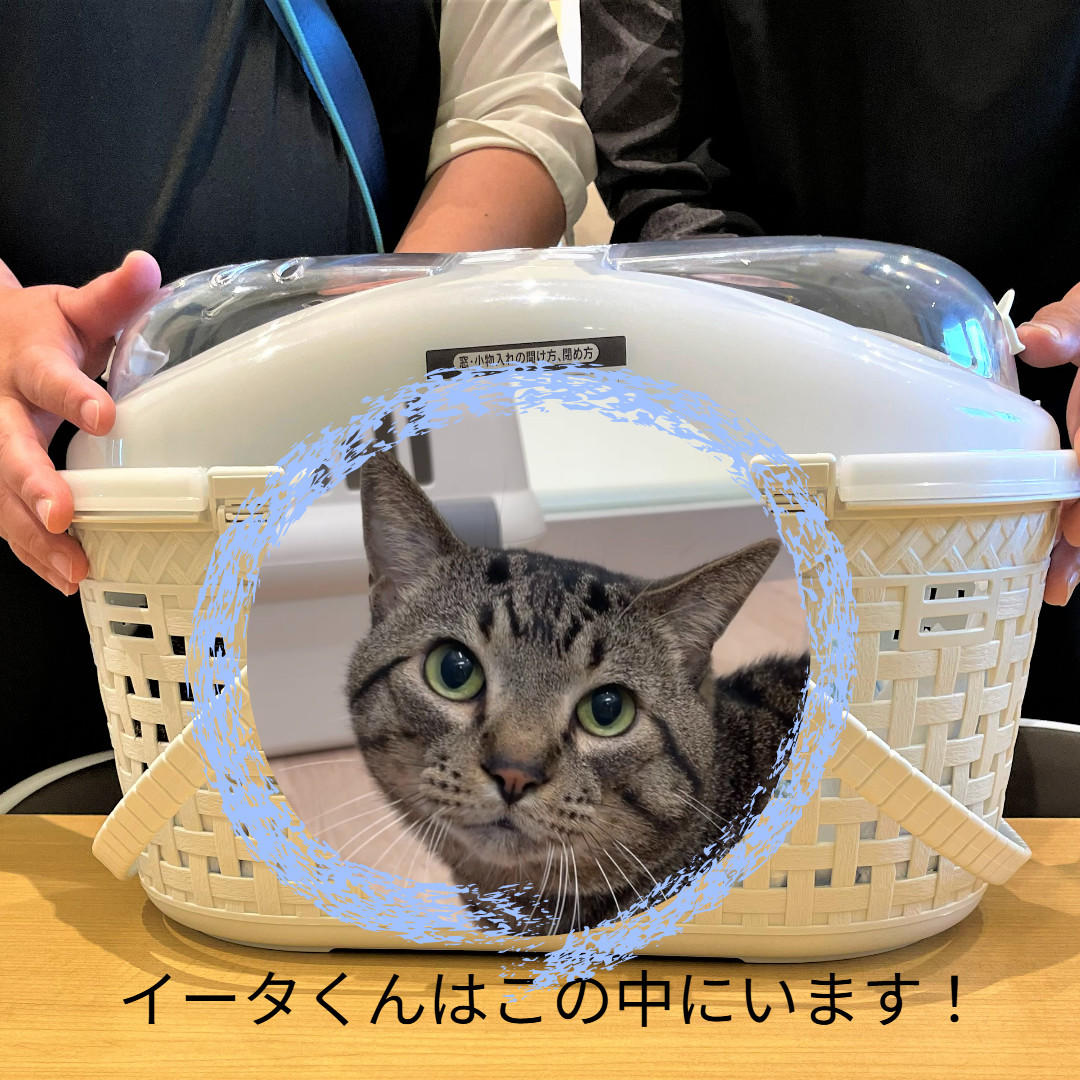 イータ_卒業③ (2025_5_26 12_00_45 1080x1080px).jpg